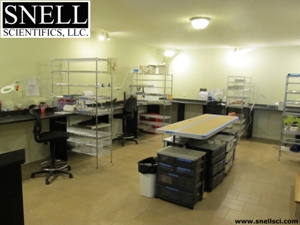 Main Lab